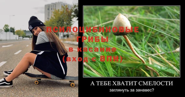 гашик Зеленокумск