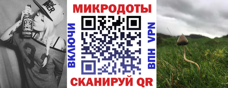 Галлюциногенные грибы прущие грибы  Купить закладки  Заволжье 